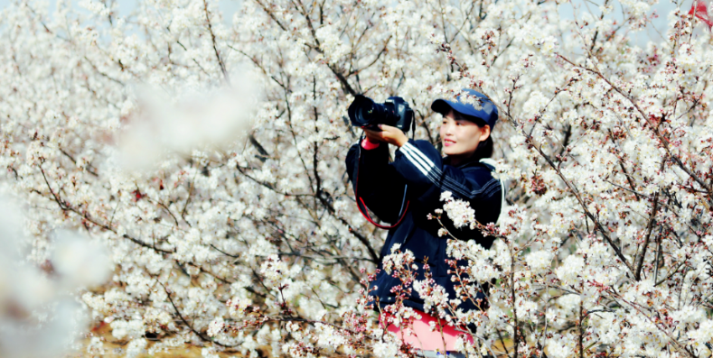 圖片.png 圖片.png