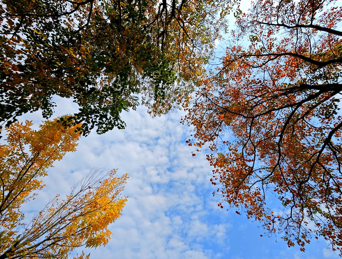 圖片.png 圖片.png