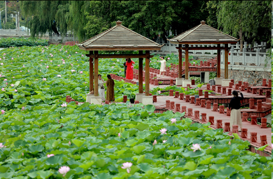 圖片.png 圖片.png